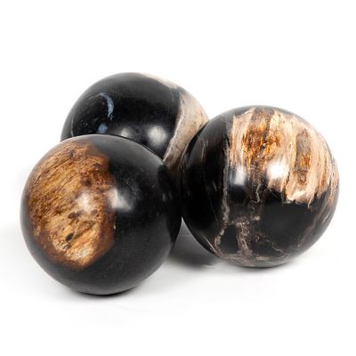 Petrified Wood Balls, Set Of 3