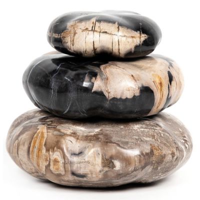 Petrified Wood Organic Sculpture, Set of 3