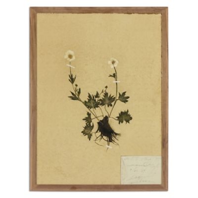 Amber Lewis x Four Hands Petite Study No. V by Hannah Winters Wall Art
