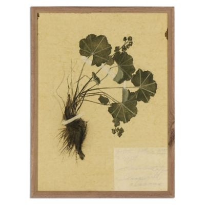 Amber Lewis x Four Hands Petite Study No. VII by Hannah Winters Wall Art
