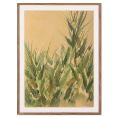Nature No. 15 by Valeria Sidanez Wall Art