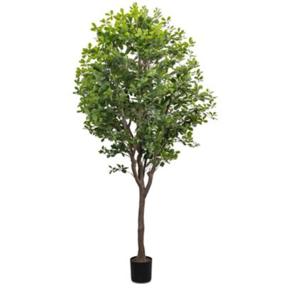 Faux Aralia Tree