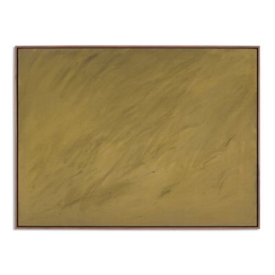 Shaded Wall Art (40 In. x 30 In.) - OPEN BOX