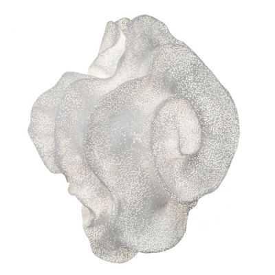 Nevo Wall Sconce (White|Small|Replaceable Bulb) - OPEN BOX
