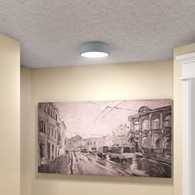 Radiant LED Flushmount by Access Lighting at