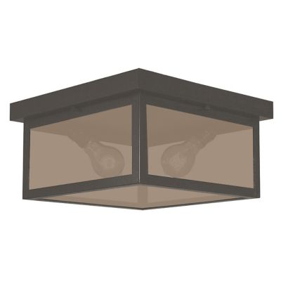 Vintage Outdoor Flushmount