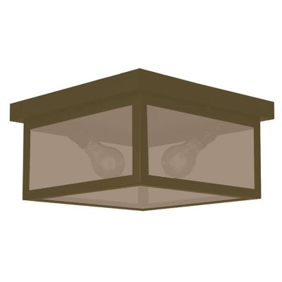 Vintage Outdoor Flushmount