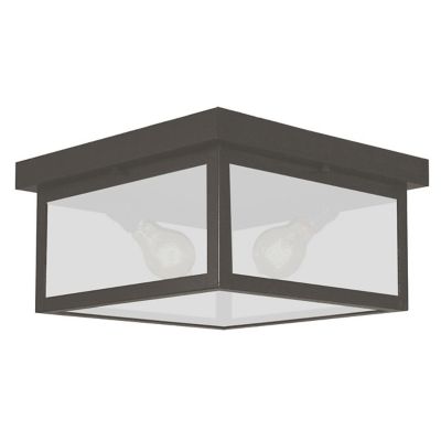 Vintage Outdoor Flushmount