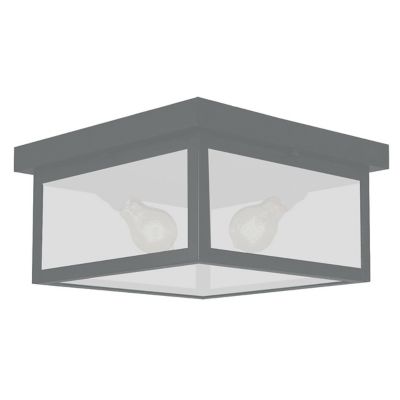 Vintage Outdoor Flushmount