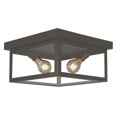 Vintage Outdoor Flushmount