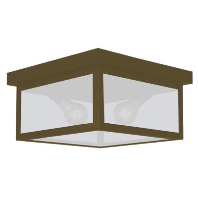 Vintage Outdoor Flushmount