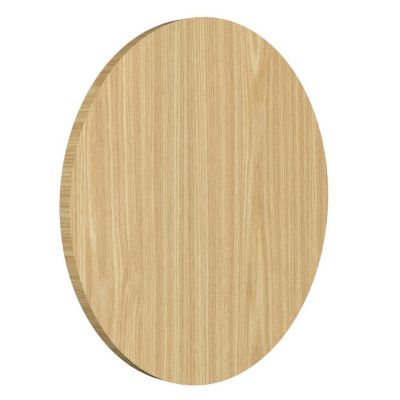 Clean Round LED Wall Sconce