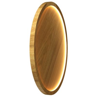 Naia LED Edge-Lit Wall / Ceiling Light