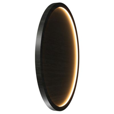 Naia LED Edge-Lit Wall / Ceiling Light