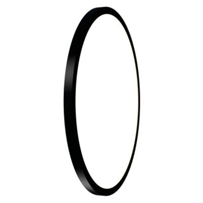 Naia LED Round Wall / Ceiling Light