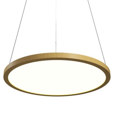 Naiá Accord LED Pendant