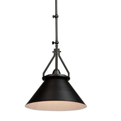 Brydon Pendant / Wall Sconce