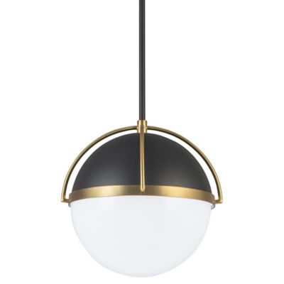 Dahlia Globe Pendant