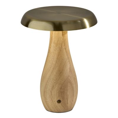 Naya Cordless LED Table Lamp