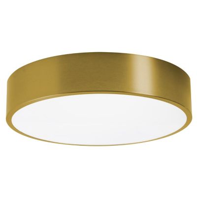 Bailey LED Flushmount
