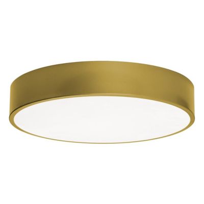 Bailey LED Flushmount