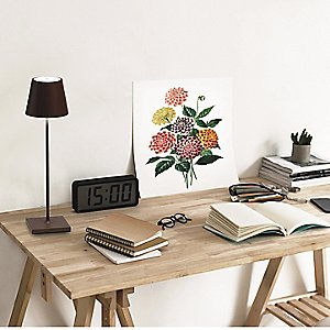Desk + Table Lamps