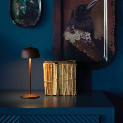 Shown in Rust finish, in use, lit