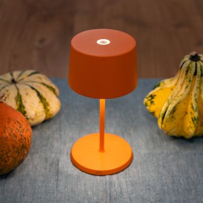 Shown in Orange finish, in use, lit