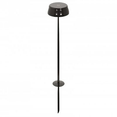 Sister Light Wi-Fi LED Outdoor Path Light