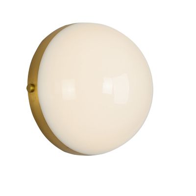 Globo LED Wall Sconce