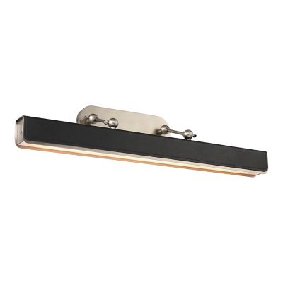 Valise LED Picture Light