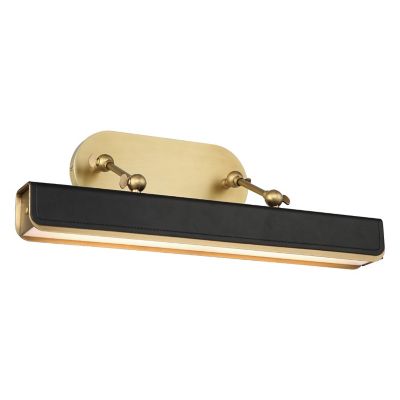 Valise LED Picture Light