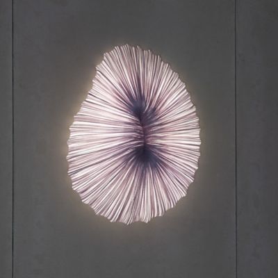 Coral LED Wall/Ceiling Light