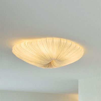 Coral LED Wall/Ceiling Light