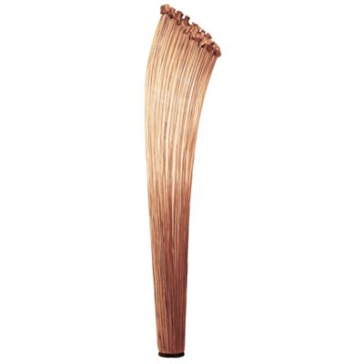 Horn Floor Lamp