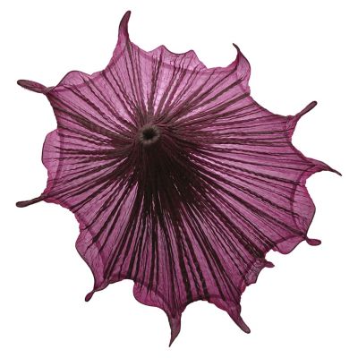 Medusa LED Wall Sconce