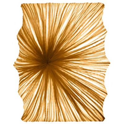 Zika LED Wall/Ceiling Light