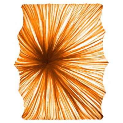 Zika LED Wall/Ceiling Light