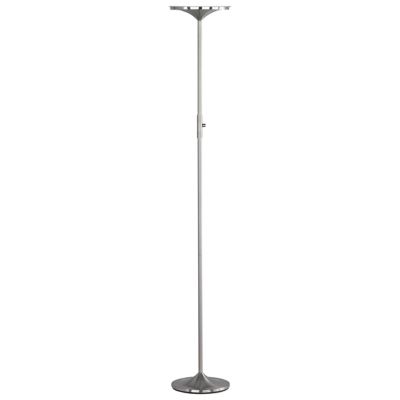 Unique Floor Lamp, Torchiere