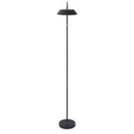 Matte Floor Lamps