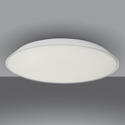 Febe Wall / Ceiling Light