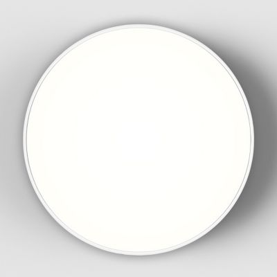 Febe Wall / Ceiling Light by Artemide at