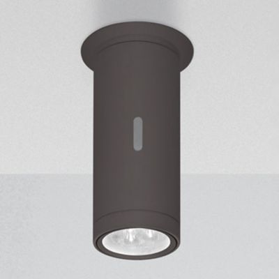 Calumet Outdoor LED Flushmount