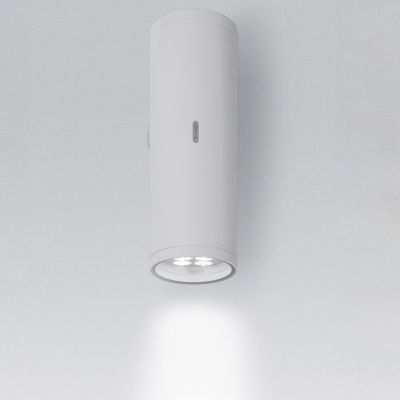 Calumet Outdoor LED Wall Light