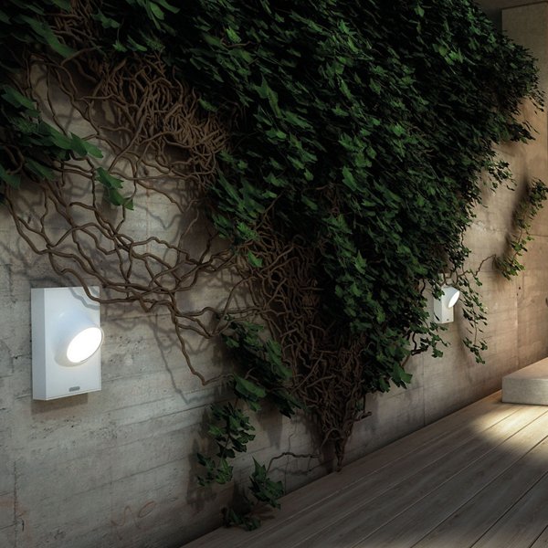 Ciclope Outdoor LED Wall Sconce