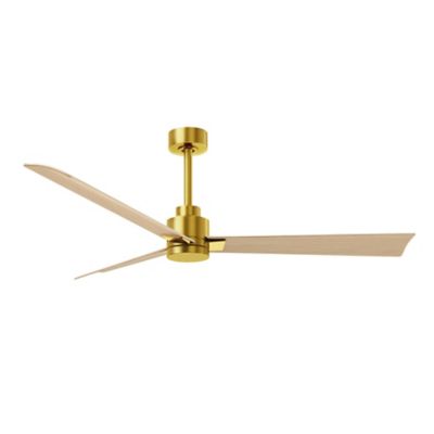 Alessandra Ceiling Fan