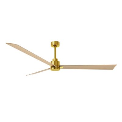 Alessandra Ceiling Fan