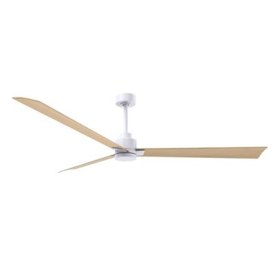 Alessandra Ceiling Fan