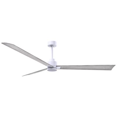 Alessandra Ceiling Fan