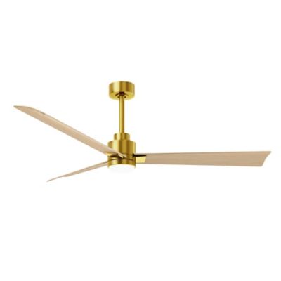Alessandra LED Ceiling Fan